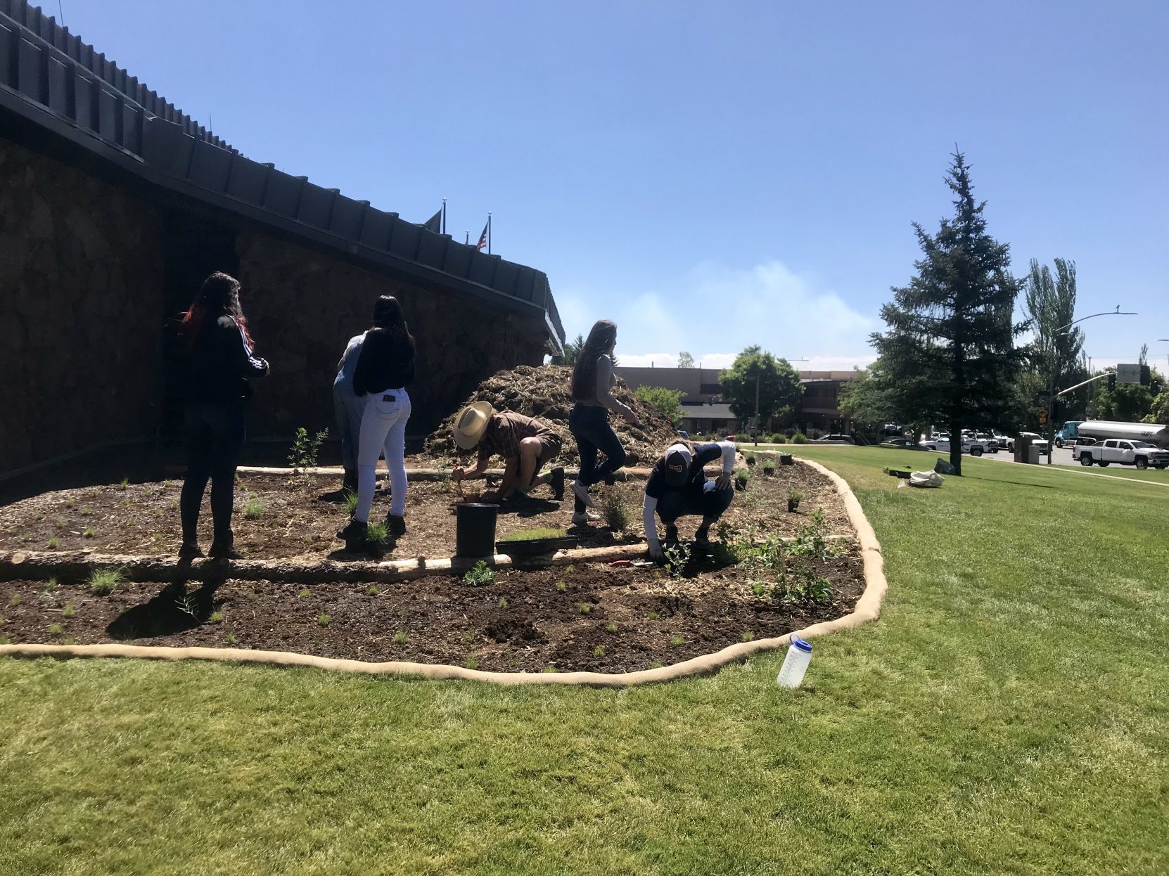 City hall lawn project